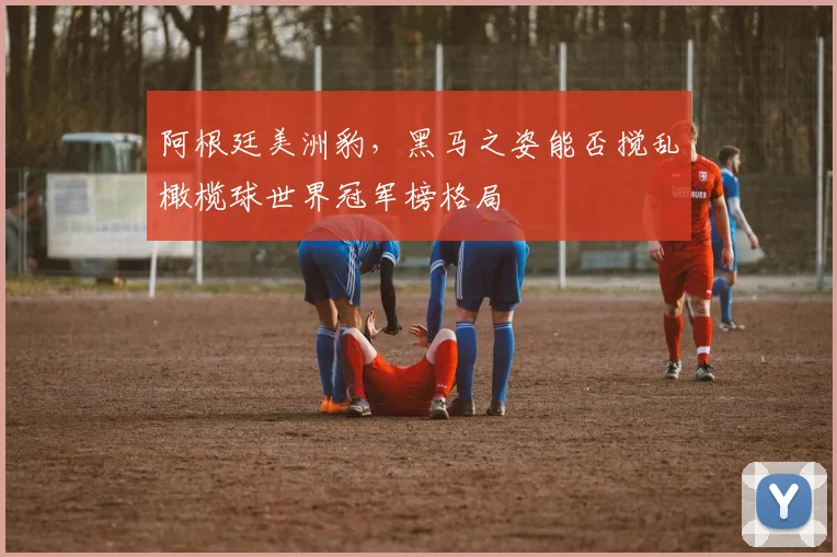 阿根廷美洲豹,黑马之姿能否搅乱橄榄球世界冠军榜格局