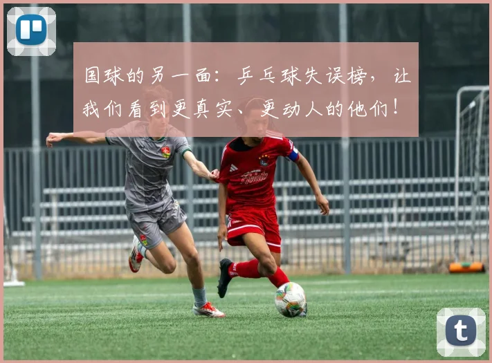 国球的另一面：乒乓球失误榜，让我们看到更真实、更动人的他们！_20260604144342