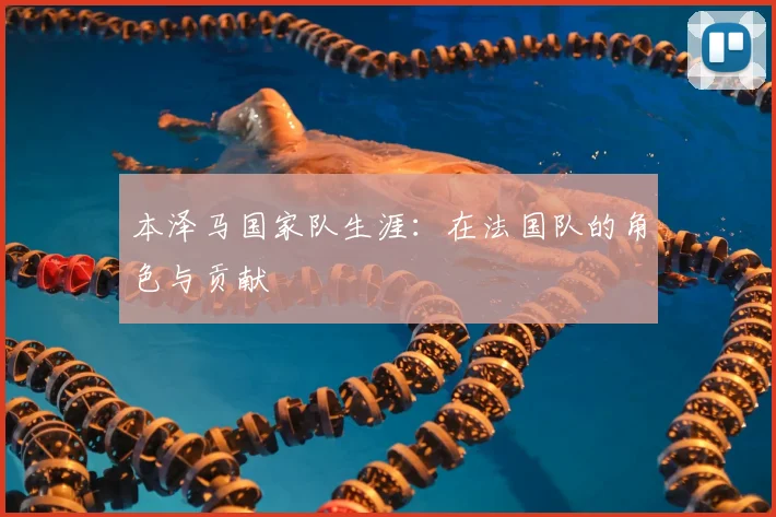 本泽马国家队生涯：在法国队的角色与贡献